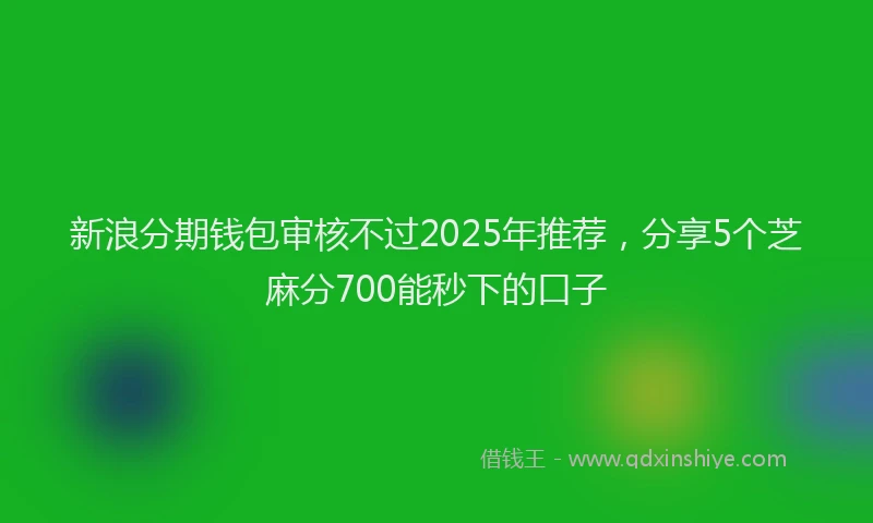 新浪分期钱包审核不过2025年推荐，分享5个芝麻分700能秒下的口子