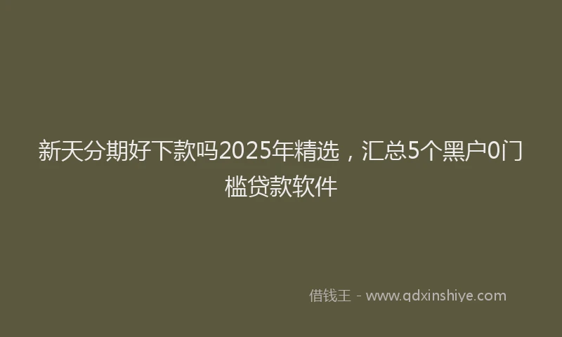 新天分期好下款吗2025年精选，汇总5个黑户0门槛贷款软件