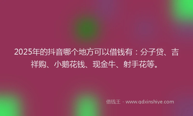 2025年的抖音哪个地方可以借钱有：分子贷、吉祥购、小鹅花钱、现金牛、射手花等。