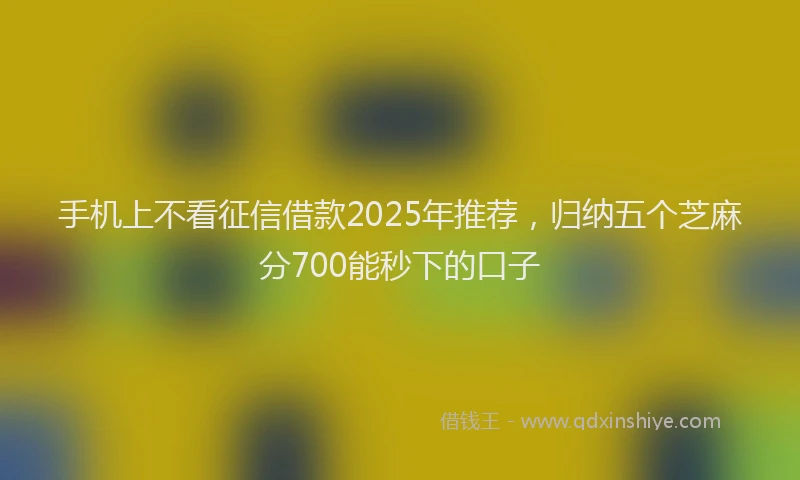手机上不看征信借款2025年推荐，归纳五个芝麻分700能秒下的口子