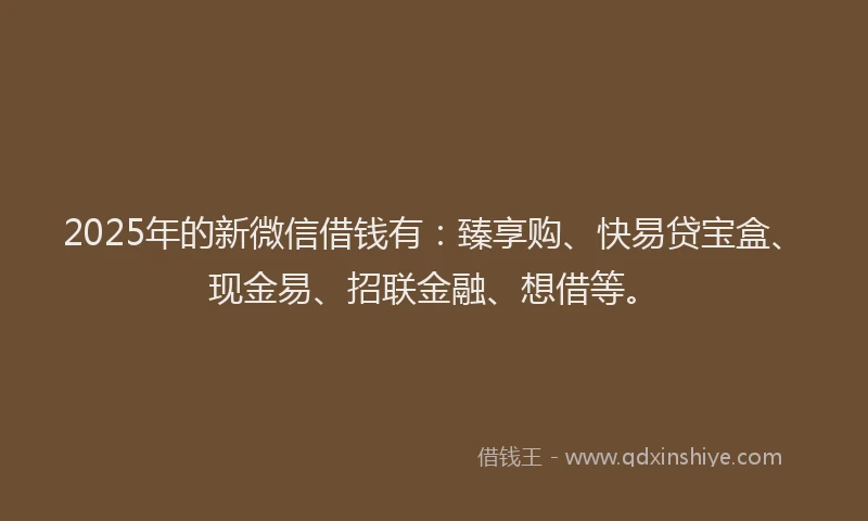 2025年的新微信借钱有：臻享购、快易贷宝盒、现金易、招联金融、想借等。