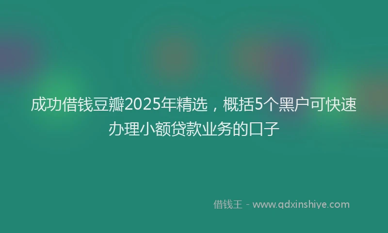 成功借钱豆瓣2025年精选，概括5个黑户可快速办理小额贷款业务的口子