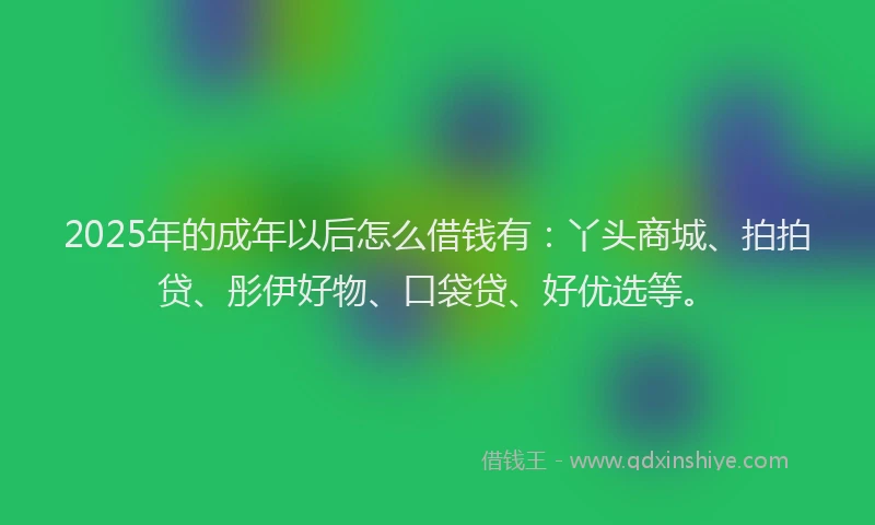 2025年的成年以后怎么借钱有：丫头商城、拍拍贷、彤伊好物、口袋贷、好优选等。