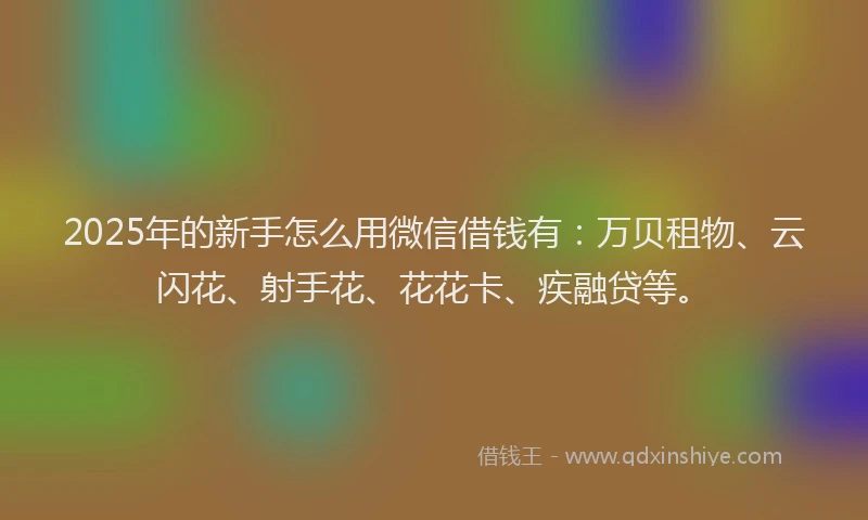 2025年的新手怎么用微信借钱有：万贝租物、云闪花、射手花、花花卡、疾融贷等。