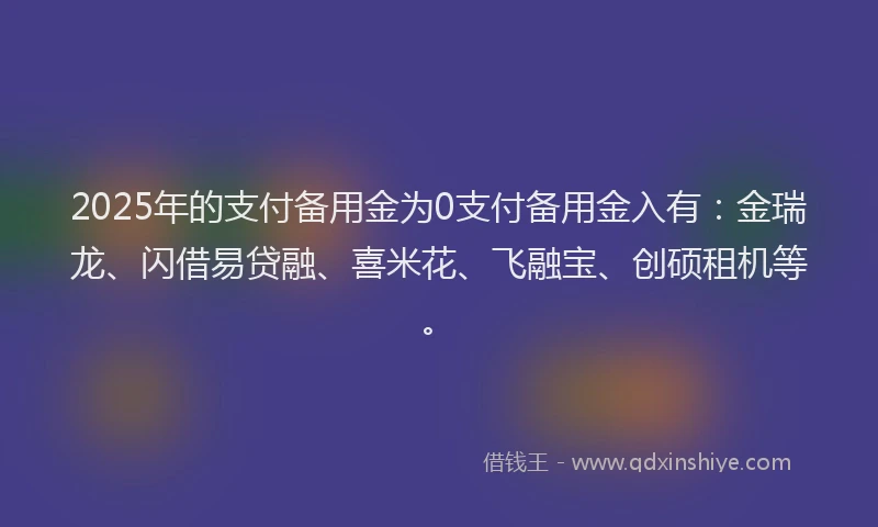 2025年的支付备用金为0支付备用金入有：金瑞龙、闪借易贷融、喜米花、飞融宝、创硕租机等。