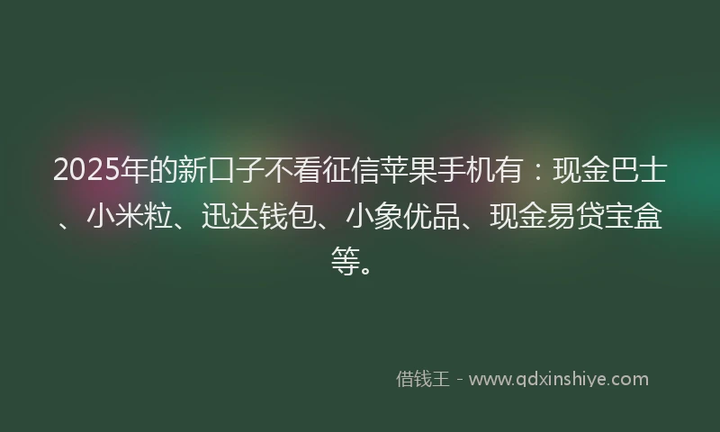 2025年的新口子不看征信苹果手机有：现金巴士、小米粒、迅达钱包、小象优品、现金易贷宝盒等。