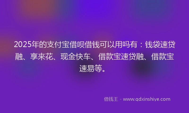 2025年的支付宝借呗借钱可以用吗有：钱袋速贷融、享来花、现金快车、借款宝速贷融、借款宝速易等。