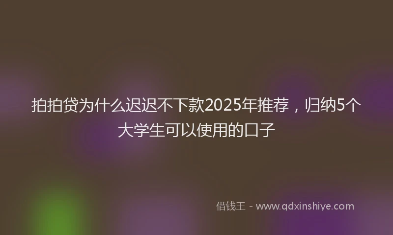 拍拍贷为什么迟迟不下款2025年推荐，归纳5个大学生可以使用的口子