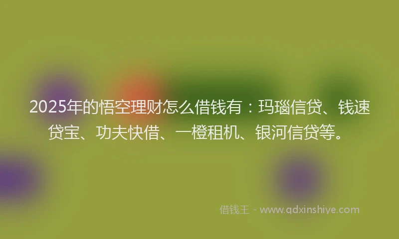 2025年的悟空理财怎么借钱有：玛瑙信贷、钱速贷宝、功夫快借、一橙租机、银河信贷等。