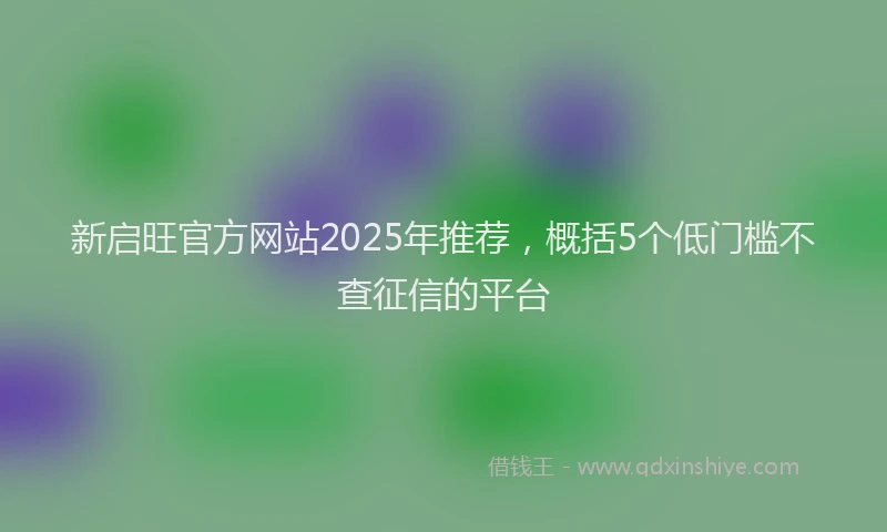 新启旺官方网站2025年推荐，概括5个低门槛不查征信的平台