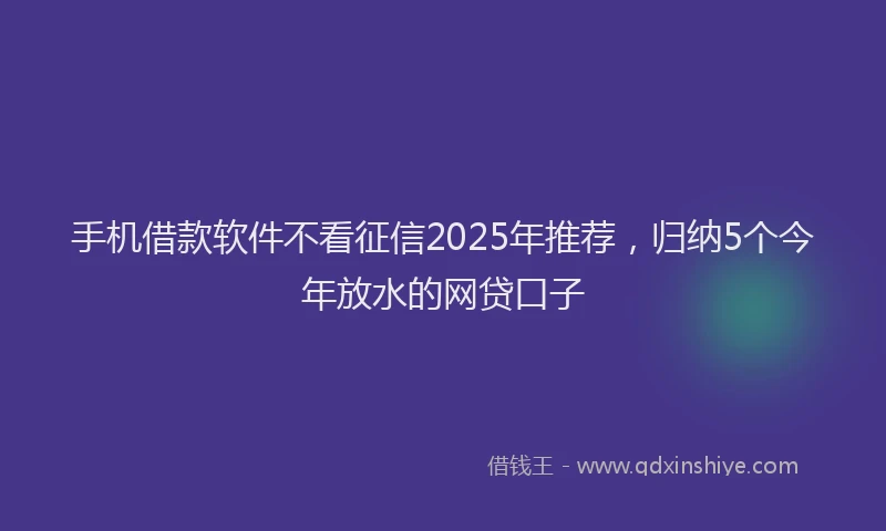 手机借款软件不看征信2025年推荐，归纳5个今年放水的网贷口子