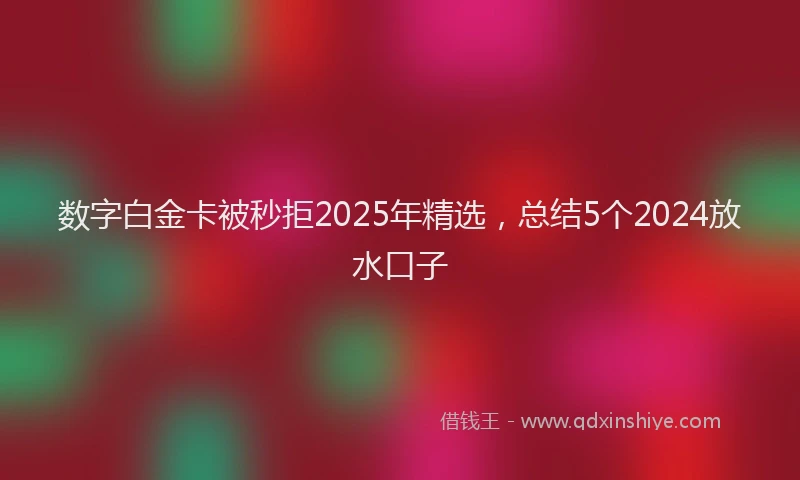 数字白金卡被秒拒2025年精选，总结5个2024放水口子