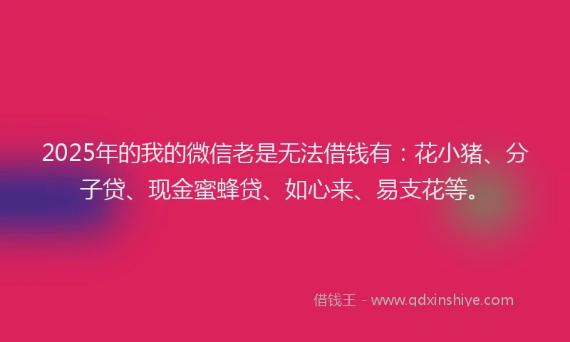 2025年的我的微信老是无法借钱有：花小猪、分子贷、现金蜜蜂贷、如心来、易支花等。