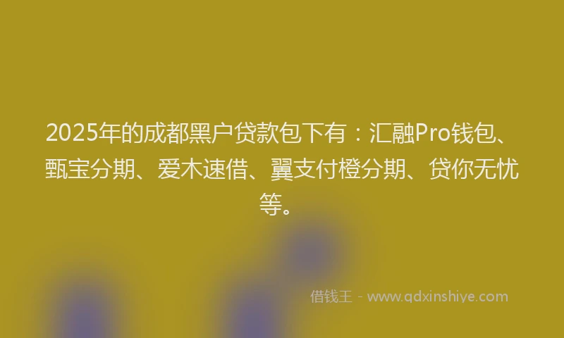 2025年的成都黑户贷款包下有：汇融Pro钱包、甄宝分期、爱木速借、翼支付橙分期、贷你无忧等。