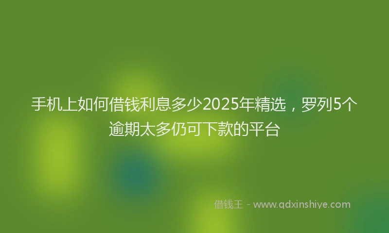 手机上如何借钱利息多少2025年精选，罗列5个逾期太多仍可下款的平台