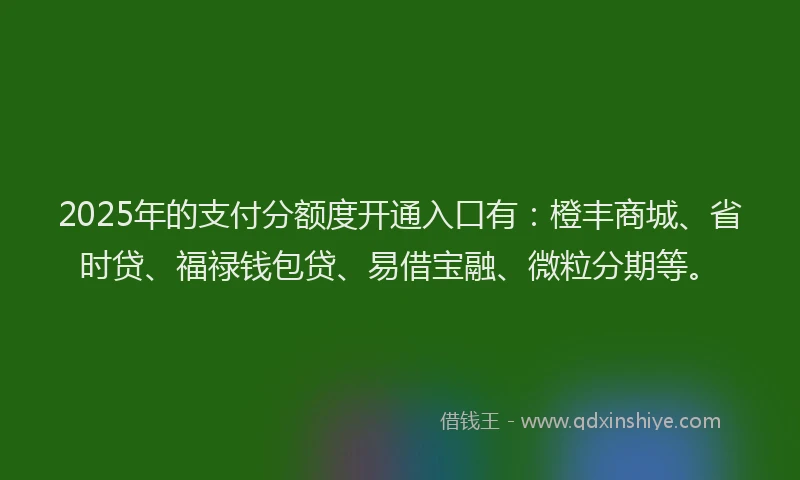 2025年的支付分额度开通入口有：橙丰商城、省时贷、福禄钱包贷、易借宝融、微粒分期等。