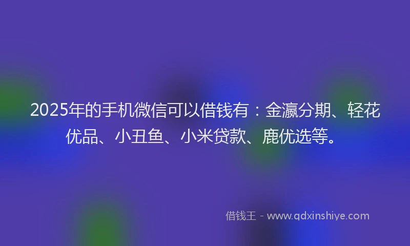 2025年的手机微信可以借钱有：金瀛分期、轻花优品、小丑鱼、小米贷款、鹿优选等。