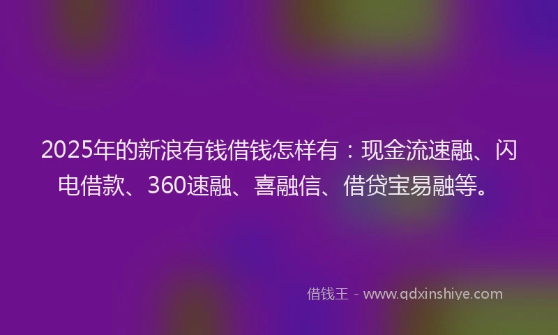 2025年的新浪有钱借钱怎样有：现金流速融、闪电借款、360速融、喜融信、借贷宝易融等。