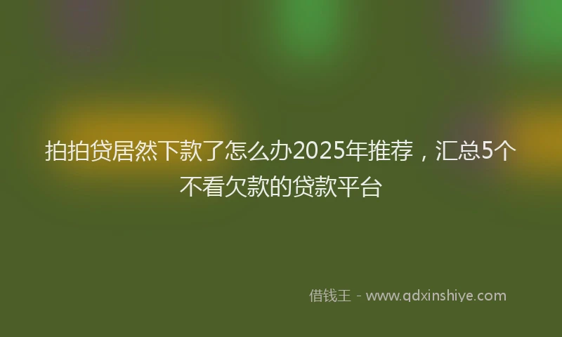 拍拍贷居然下款了怎么办2025年推荐，汇总5个不看欠款的贷款平台