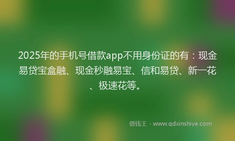 2025年的手机号借款app不用身份证的有：现金易贷宝盒融、现金秒融易宝、信和易贷、新一花、极速花等。