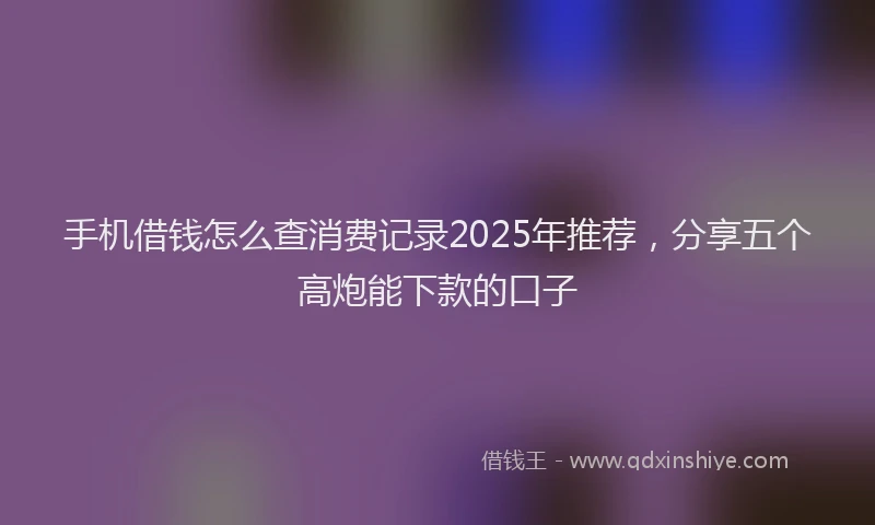 手机借钱怎么查消费记录2025年推荐，分享五个高炮能下款的口子