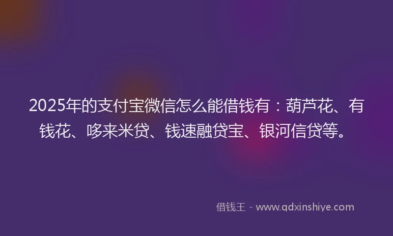 2025年的支付宝微信怎么能借钱有：葫芦花、有钱花、哆来米贷、钱速融贷宝、银河信贷等。