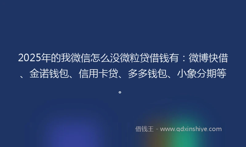 2025年的我微信怎么没微粒贷借钱有：微博快借、金诺钱包、信用卡贷、多多钱包、小象分期等。