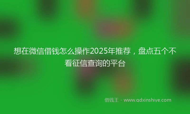 想在微信借钱怎么操作2025年推荐，盘点五个不看征信查询的平台
