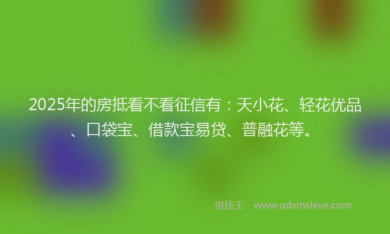 2025年的房抵看不看征信有：天小花、轻花优品、口袋宝、借款宝易贷、普融花等。