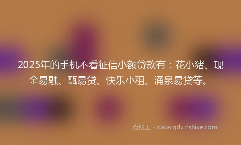 2025年的手机不看征信小额贷款有：花小猪、现金易融、甄易贷、快乐小租、涌泉易贷等。