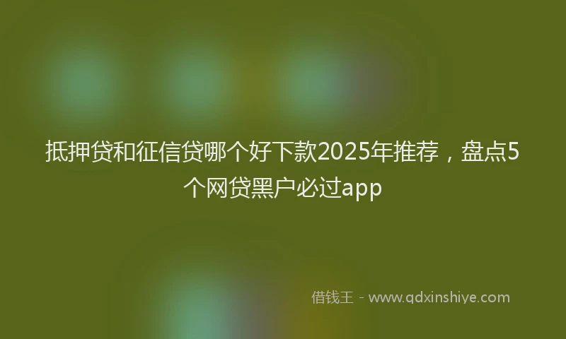 抵押贷和征信贷哪个好下款2025年推荐，盘点5个网贷黑户必过app