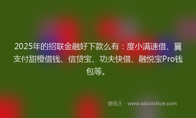 2025年的招联金融好下款么有：度小满速借、翼支付甜橙借钱、信贷宝、功夫快借、融悦宝Pro钱包等。