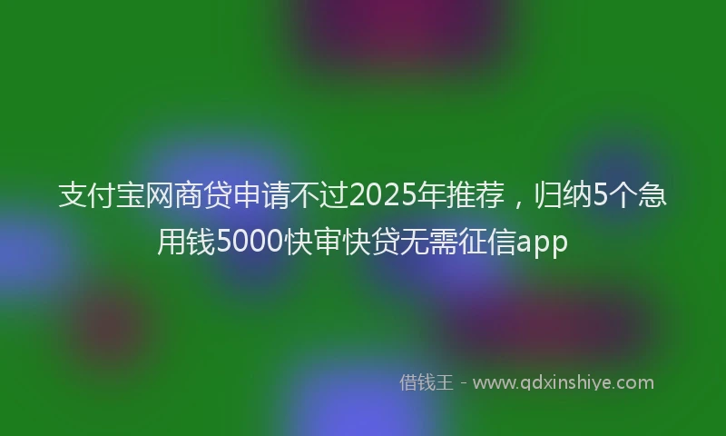 支付宝网商贷申请不过2025年推荐，归纳5个急用钱5000快审快贷无需征信app