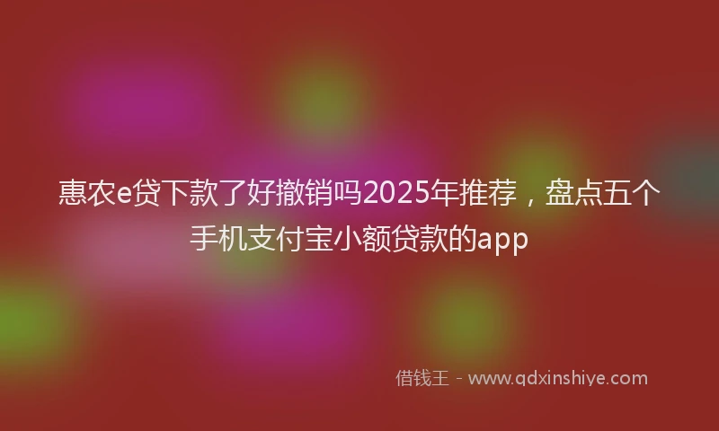惠农e贷下款了好撤销吗2025年推荐，盘点五个手机支付宝小额贷款的app