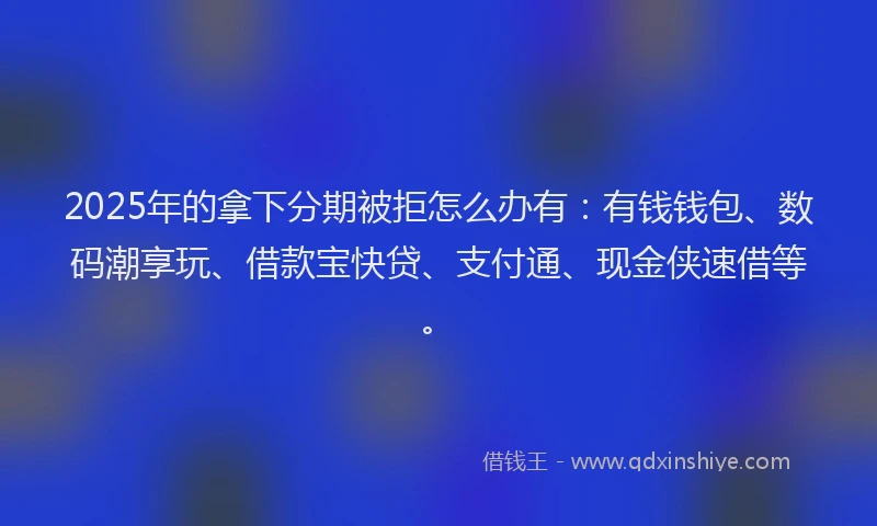 2025年的拿下分期被拒怎么办有：有钱钱包、数码潮享玩、借款宝快贷、支付通、现金侠速借等。