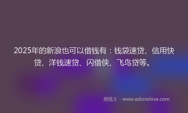 2025年的新浪也可以借钱有：钱袋速贷、信用快贷、洋钱速贷、闪借侠、飞鸟贷等。