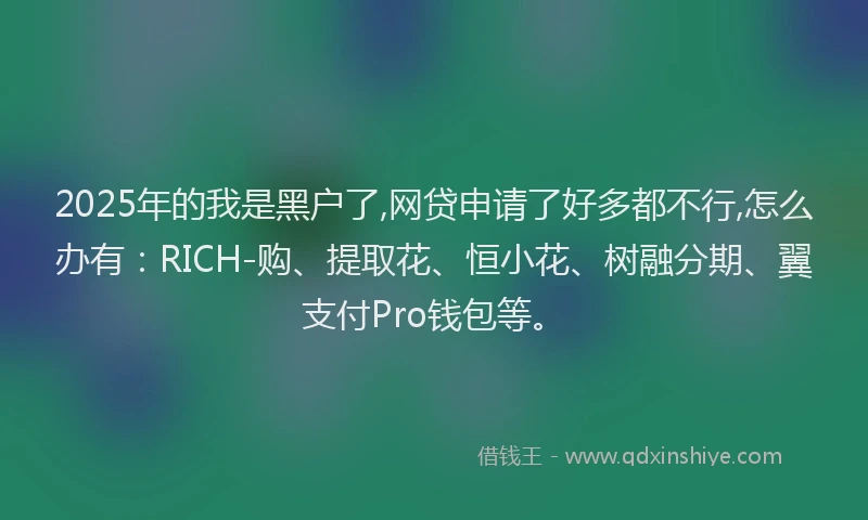 2025年的我是黑户了,网贷申请了好多都不行,怎么办有：RICH-购、提取花、恒小花、树融分期、翼支付Pro钱包等。