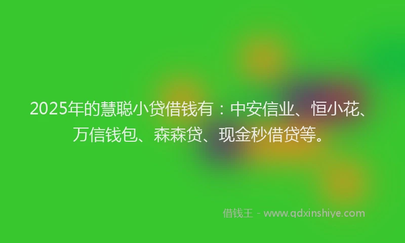 2025年的慧聪小贷借钱有：中安信业、恒小花、万信钱包、森森贷、现金秒借贷等。