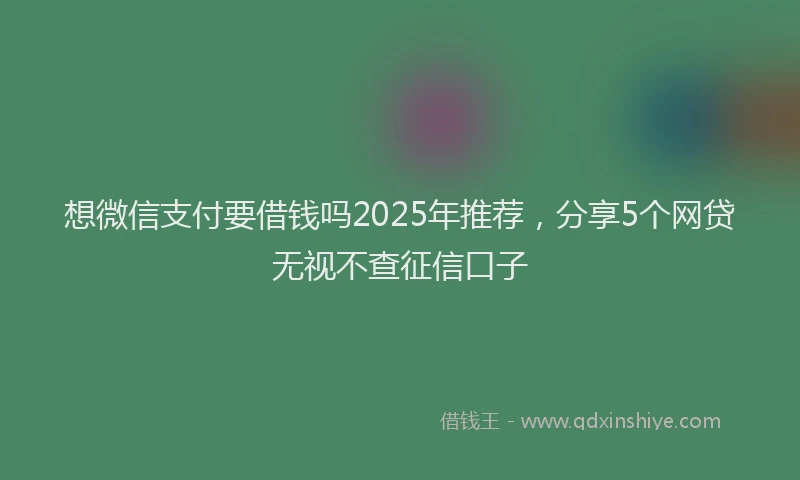 想微信支付要借钱吗2025年推荐，分享5个网贷无视不查征信口子