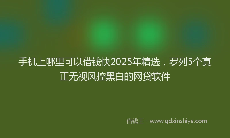 手机上哪里可以借钱快2025年精选，罗列5个真正无视风控黑白的网贷软件