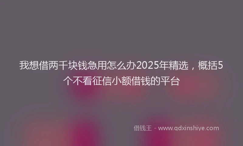 我想借两千块钱急用怎么办2025年精选，概括5个不看征信小额借钱的平台