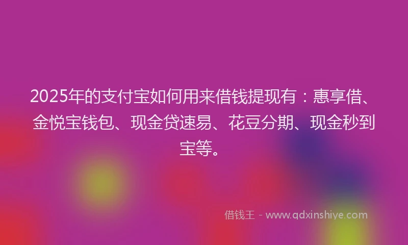 2025年的支付宝如何用来借钱提现有：惠享借、金悦宝钱包、现金贷速易、花豆分期、现金秒到宝等。