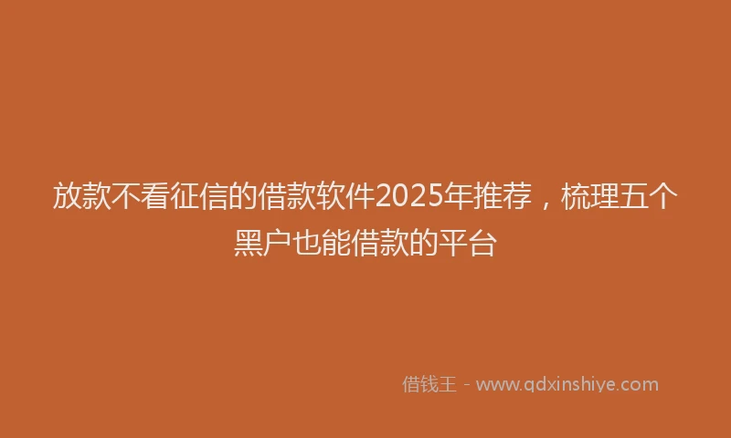 放款不看征信的借款软件2025年推荐，梳理五个黑户也能借款的平台