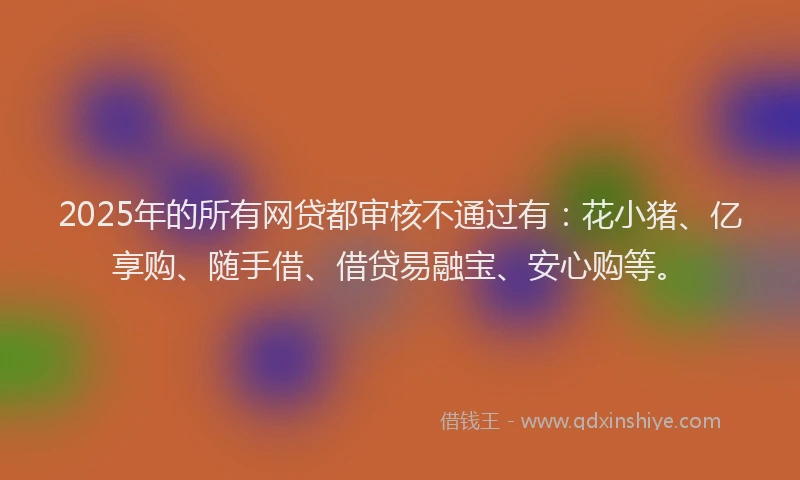 2025年的所有网贷都审核不通过有：花小猪、亿享购、随手借、借贷易融宝、安心购等。