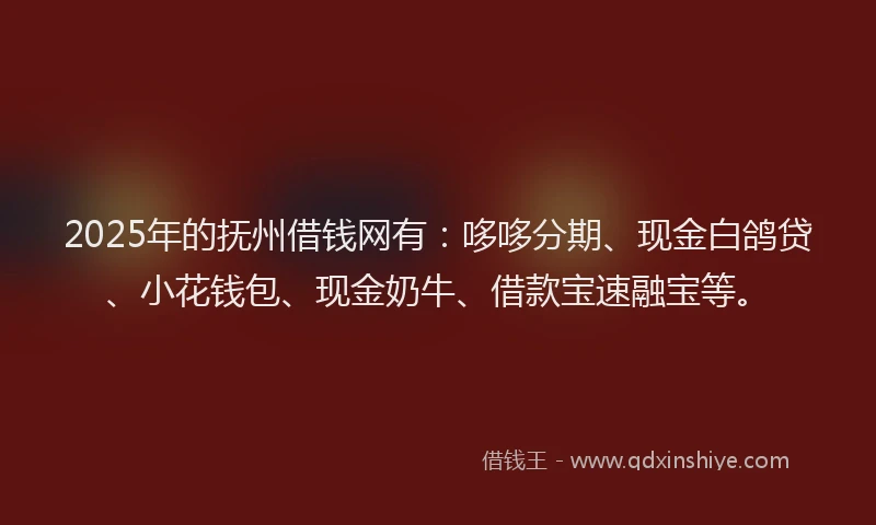 2025年的抚州借钱网有：哆哆分期、现金白鸽贷、小花钱包、现金奶牛、借款宝速融宝等。