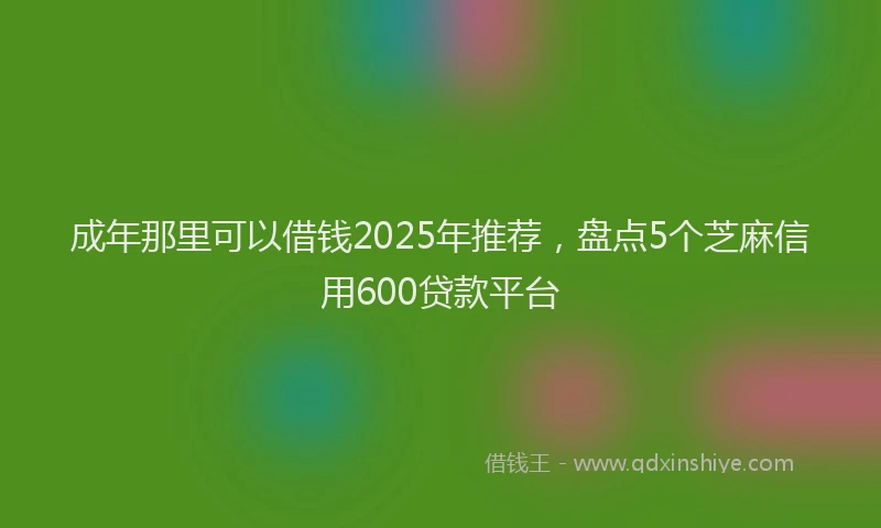 成年那里可以借钱2025年推荐，盘点5个芝麻信用600贷款平台