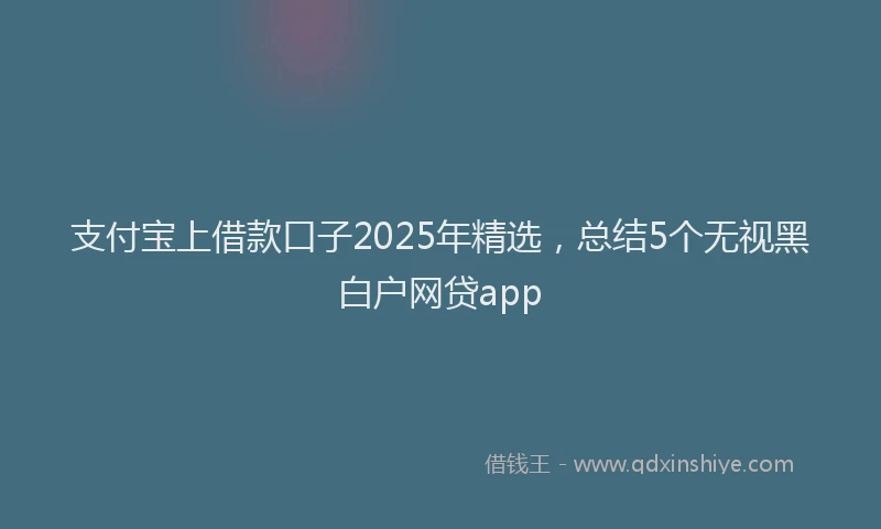 支付宝上借款口子2025年精选，总结5个无视黑白户网贷app