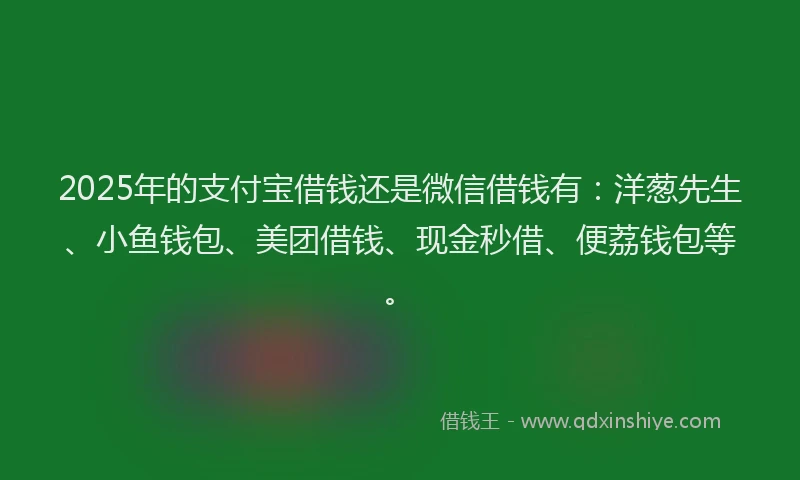 2025年的支付宝借钱还是微信借钱有：洋葱先生、小鱼钱包、美团借钱、现金秒借、便荔钱包等。