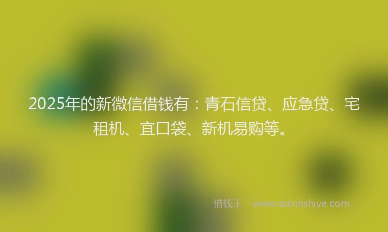 2025年的新微信借钱有：青石信贷、应急贷、宅租机、宜口袋、新机易购等。