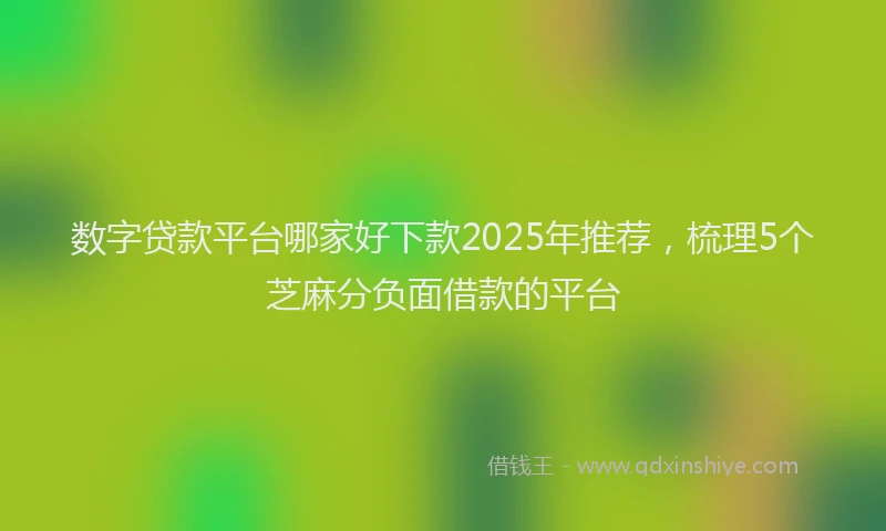 数字贷款平台哪家好下款2025年推荐，梳理5个芝麻分负面借款的平台